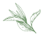 Leaves Illustration